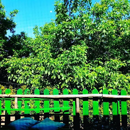 Il Gelsomino Dell'etna Chalet Giarre