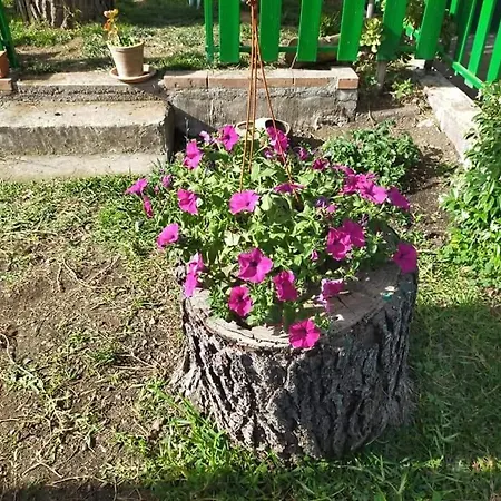Il Gelsomino Dell'etna * Giarre