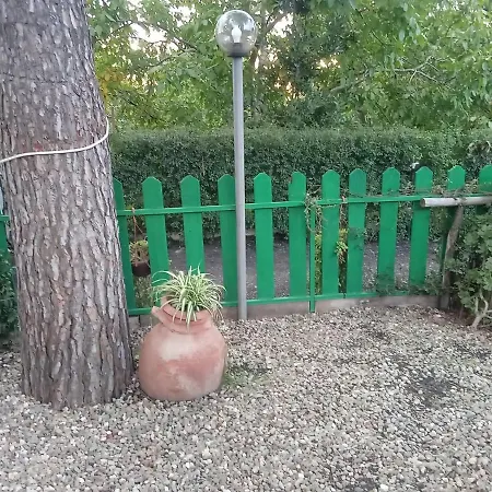Il Gelsomino Dell'etna * Giarre