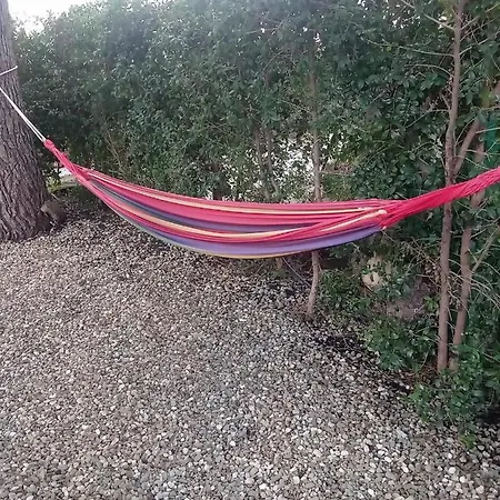 Il Gelsomino Dell'etna Giarre