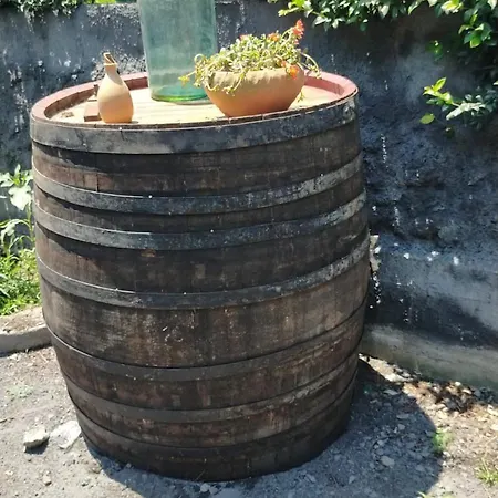 Il Gelsomino Dell'etna