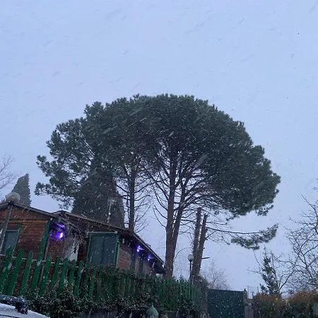 Il Gelsomino Dell'etna Chalet Giarre