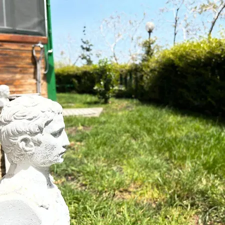 Il Gelsomino Dell'etna *