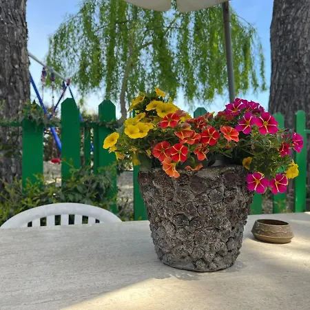 Il Gelsomino Dell'etna * Giarre