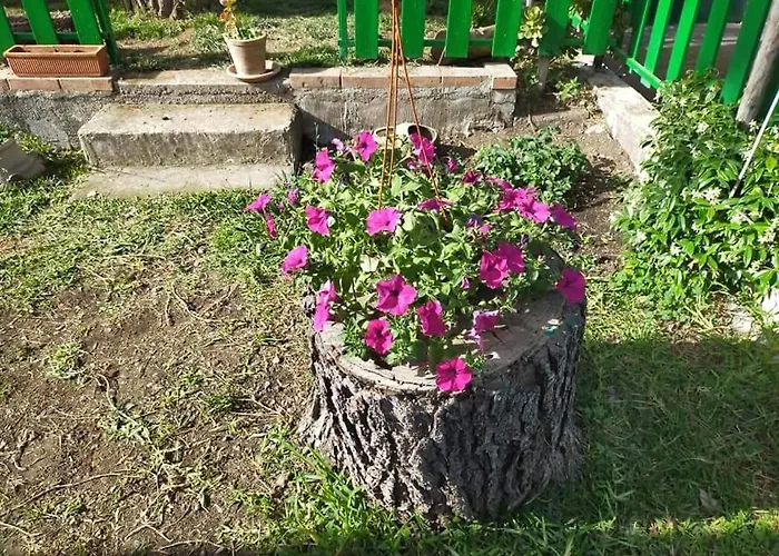 Il Gelsomino Dell'etna * جاري