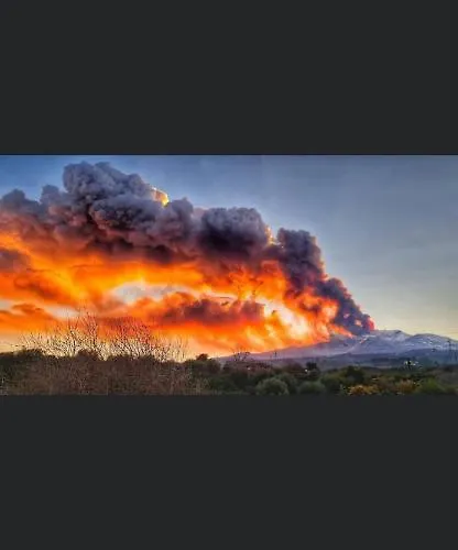 Il Gelsomino Dell'etna *